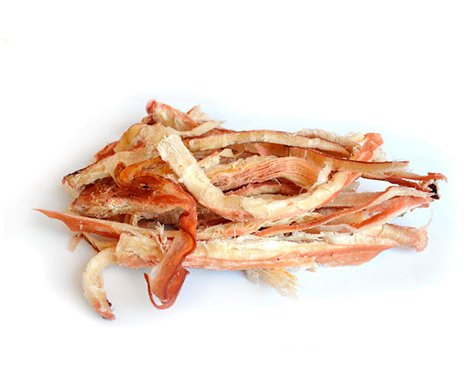 Ragged squid