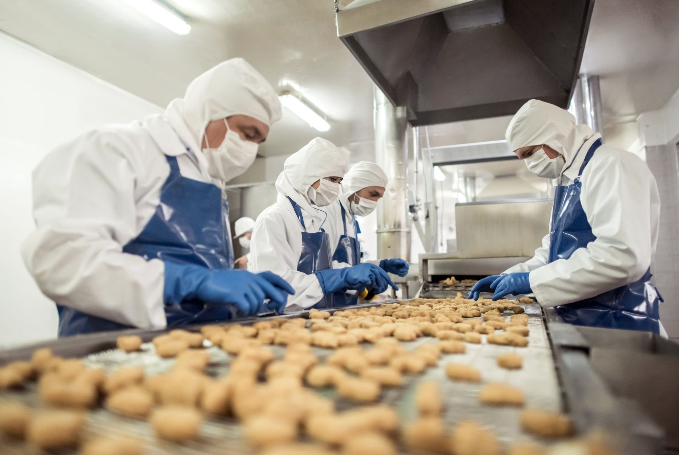 Production of culinary semi-finished products