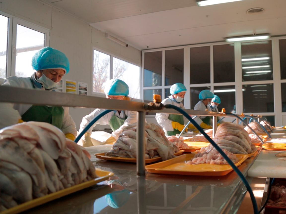 Deep processing of fish raw materials